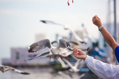 Close-up of hand holding bird flying against sky