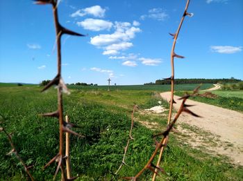 Scenic view of field against sky