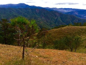 Scenic view of mountains