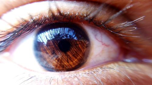 Extreme close-up of human eye