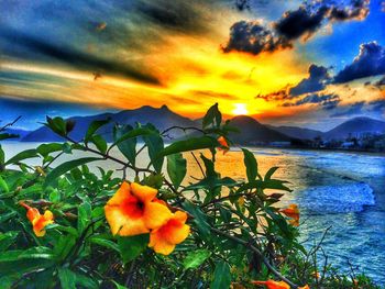 Scenic view of landscape against cloudy sky