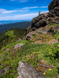 Scenic view of mountain against sky