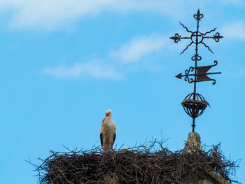 Low angle view of birds perching on roof against sky