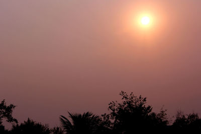 Low angle view of silhouette trees against orange sky