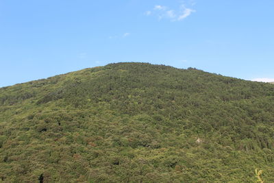 Scenic view of landscape against blue sky