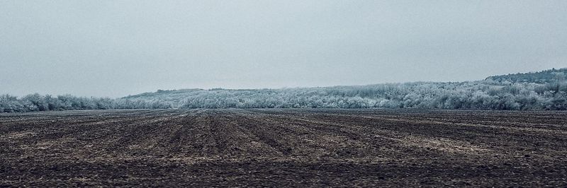 Scenic view of field against clear sky during winter