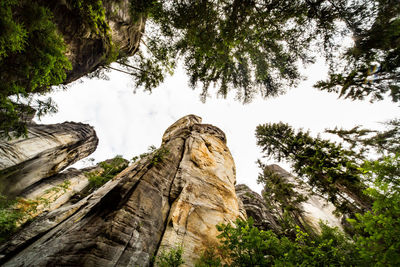 Low angle view of rock formation amidst trees against sky