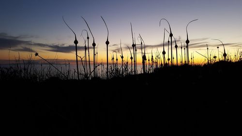 Silhouette of landscape at sunset