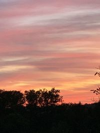 Silhouette trees against sky during sunset