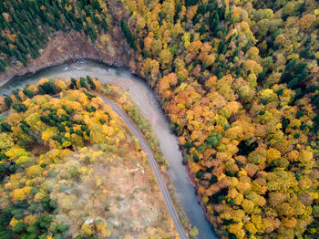 High angle view of road amidst trees in forest