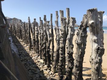 Panoramic view of wooden posts on field against sky