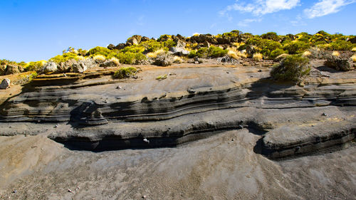 Scenic view of landscape