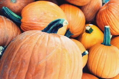 Full frame shot of pumpkins at market