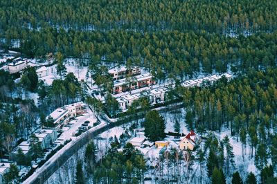 High angle view of trees and buildings in city