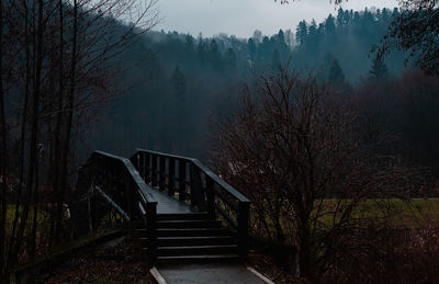 Empty bench in forest