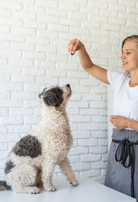 Low section of woman with dog against wall