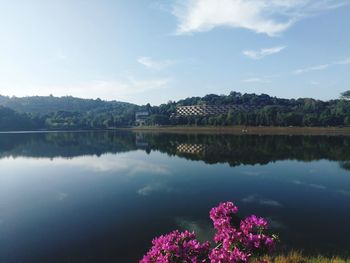 Scenic view of lake by trees against sky