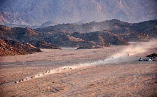 Scenic view of desert