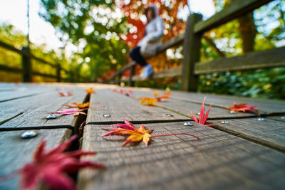 Close-up of autumn leaves on table