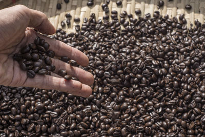 Cropped image of hand holding coffee beans