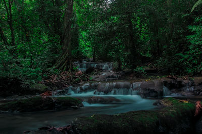 Scenic view of waterfall in forest