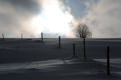 Bare trees on snow covered field against sky
