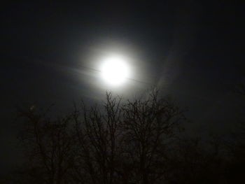Low angle view of silhouette trees against sky at night