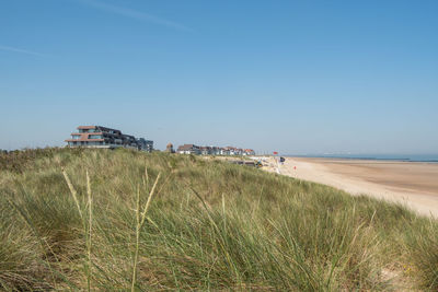 Scenic view of beach against clear sky