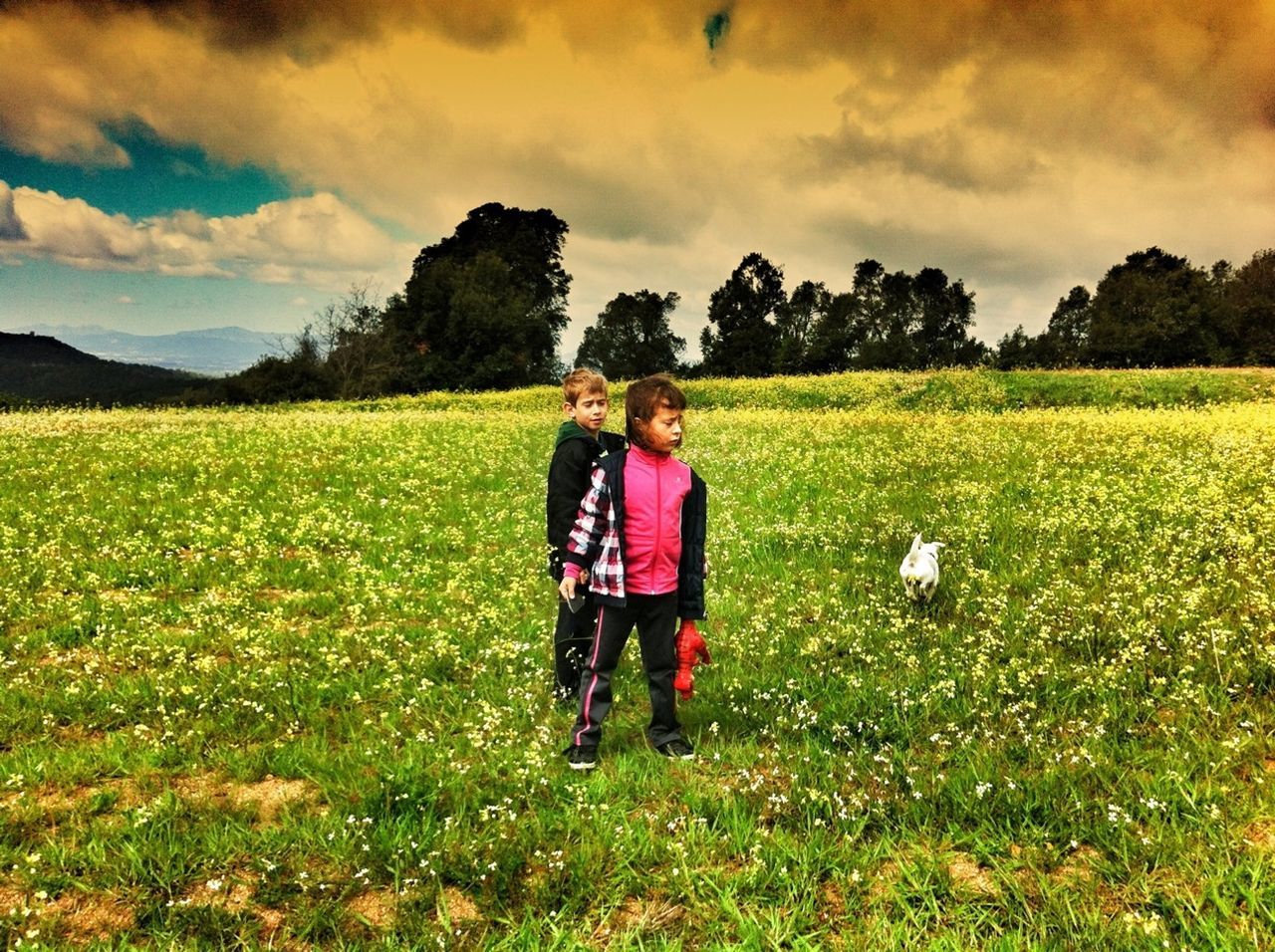 field, sky, landscape, grass, rural scene, rear view, tranquil scene, cloud - sky, tranquility, agriculture, lifestyles, beauty in nature, leisure activity, scenics, nature, grassy, standing, green color