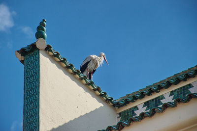 Low angle view of stork perching on roof against blue sky