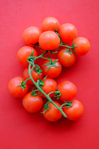 Directly above shot of tomatoes