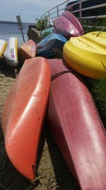 Close-up of red flower