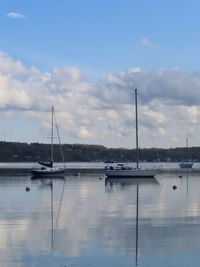 Sailboats in marina