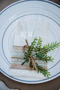 Plant with tablecloth and plastic eating utensils in plate