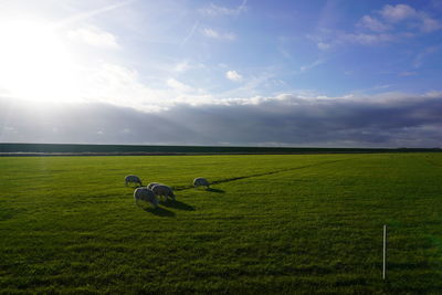 horizon
