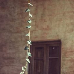 Close-up of chain hanging against wall