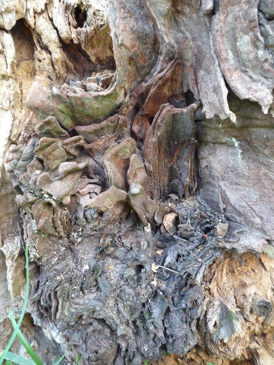 textured, rough, full frame, backgrounds, close-up, tree trunk, natural pattern, nature, bark, wood - material, pattern, outdoors, day, rock - object, detail, no people, tree, brown, weathered, plant bark