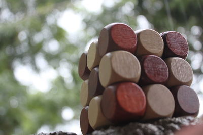 Close-up of stack of tree