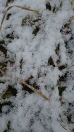 snow