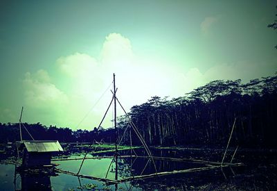 Panoramic view of trees against sky