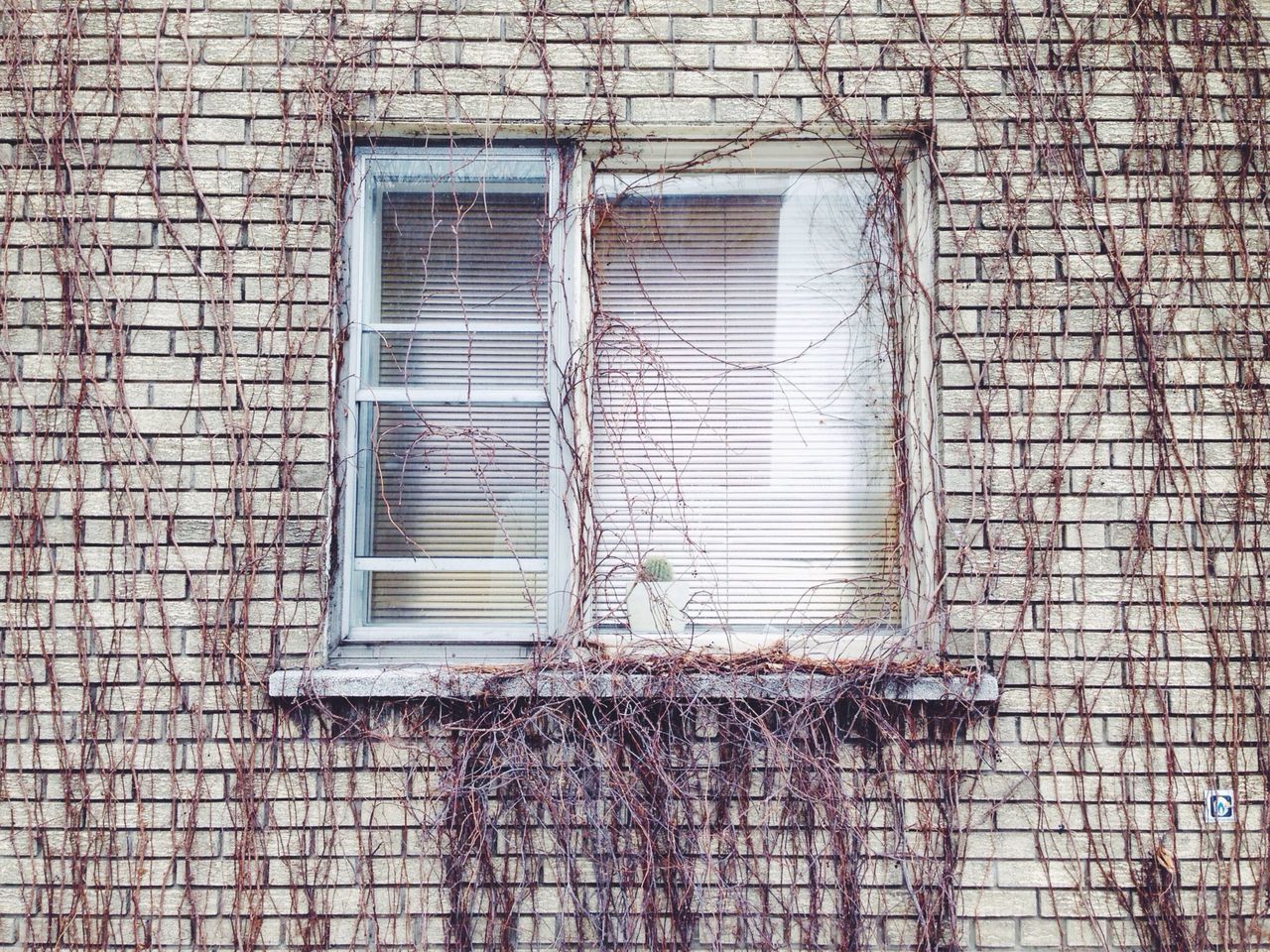 building exterior, architecture, built structure, window, brick wall, wall - building feature, closed, house, wall, protection, safety, residential structure, day, security, metal, metal grate, no people, outdoors, old, building