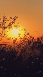 Low angle view of silhouette tree against orange sky