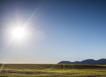 Scenic view of landscape against clear sky