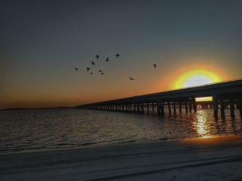 Silhouette birds flying over sea against sky during sunset