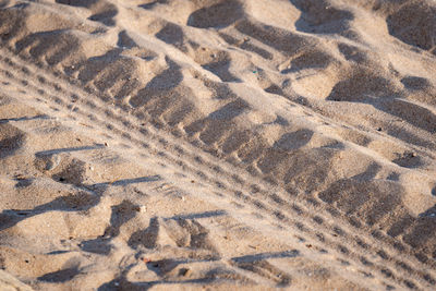 Full frame shot of sand dune