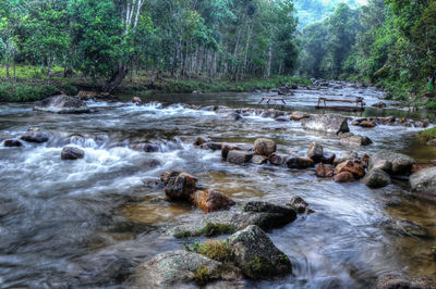 River flowing through rocks in forest