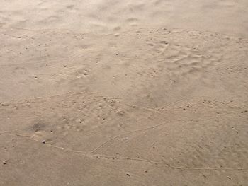 Full frame shot of white background