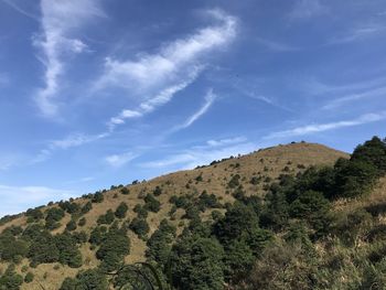 Scenic view of landscape against blue sky