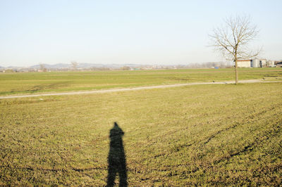 Shadow of man on field