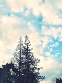 Low angle view of tree against sky